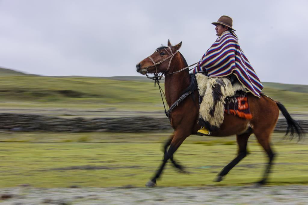 Chilcabamba Lodge Machachi Dış mekan fotoğraf